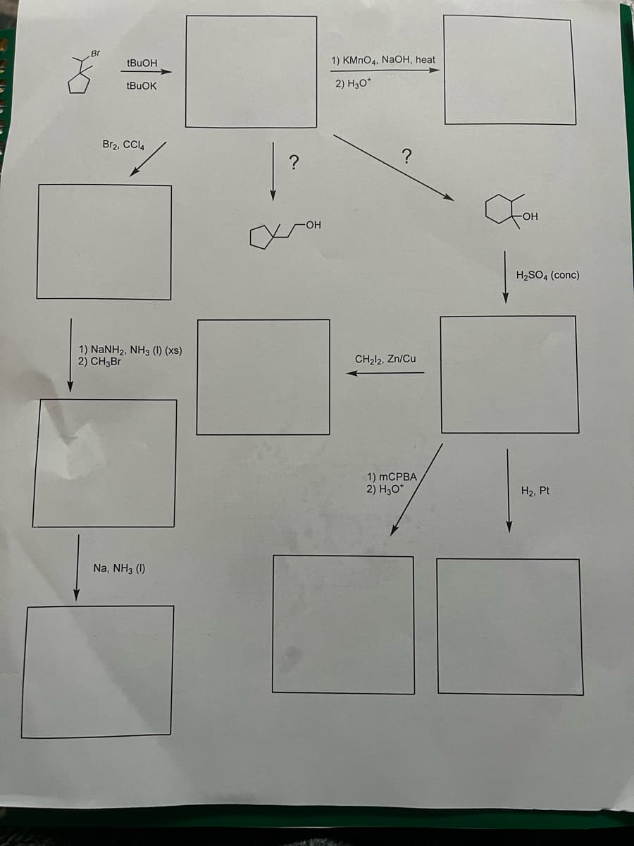 Br
tBuOH
tBuOK
Br2, CCl4
1) NaNHz, NH3 (l) (xs)
2) CH3Br
Na, NH3 (1)
?
-OH
1) KMnO4, NaOH, heat
2) H3O*
the
?
CH₂l2, Zn/Cu
1) mCPBA
2) H3O*
JOH
H₂SO4 (conc)
H₂, Pt