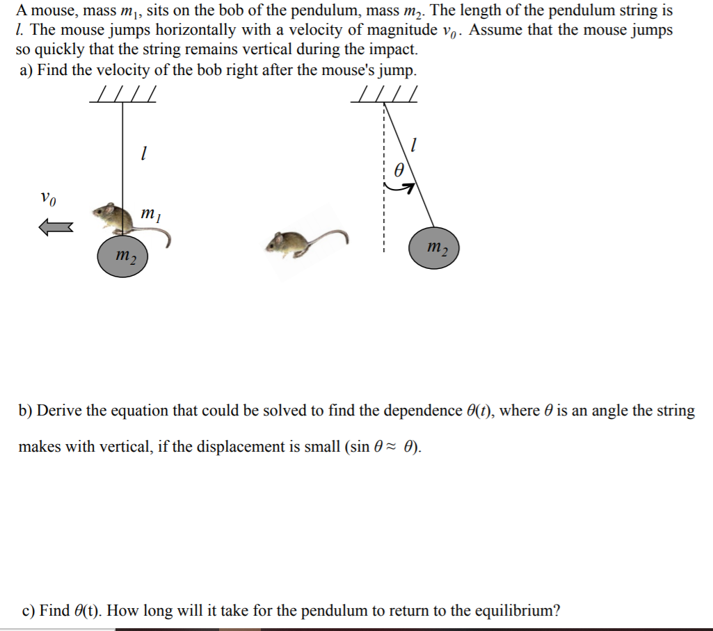 A mouse, mass m,, sits on the bob of the pendulum, mass m,. The length of the pendulum string is
1. The mouse jumps horizontally with a velocity of magnitude v,. Assume that the mouse jumps
so quickly that the string remains vertical during the impact.
a) Find the velocity of the bob right after the mouse's jump.
////
Vo
ту
тp
b) Derive the equation that could be solved to find the dependence 0(t), where 0 is an angle the string
makes with vertical, if the displacement is small (sin 0~ 0).
c) Find 0(t). How long will it take for the pendulum to return to the equilibrium?
