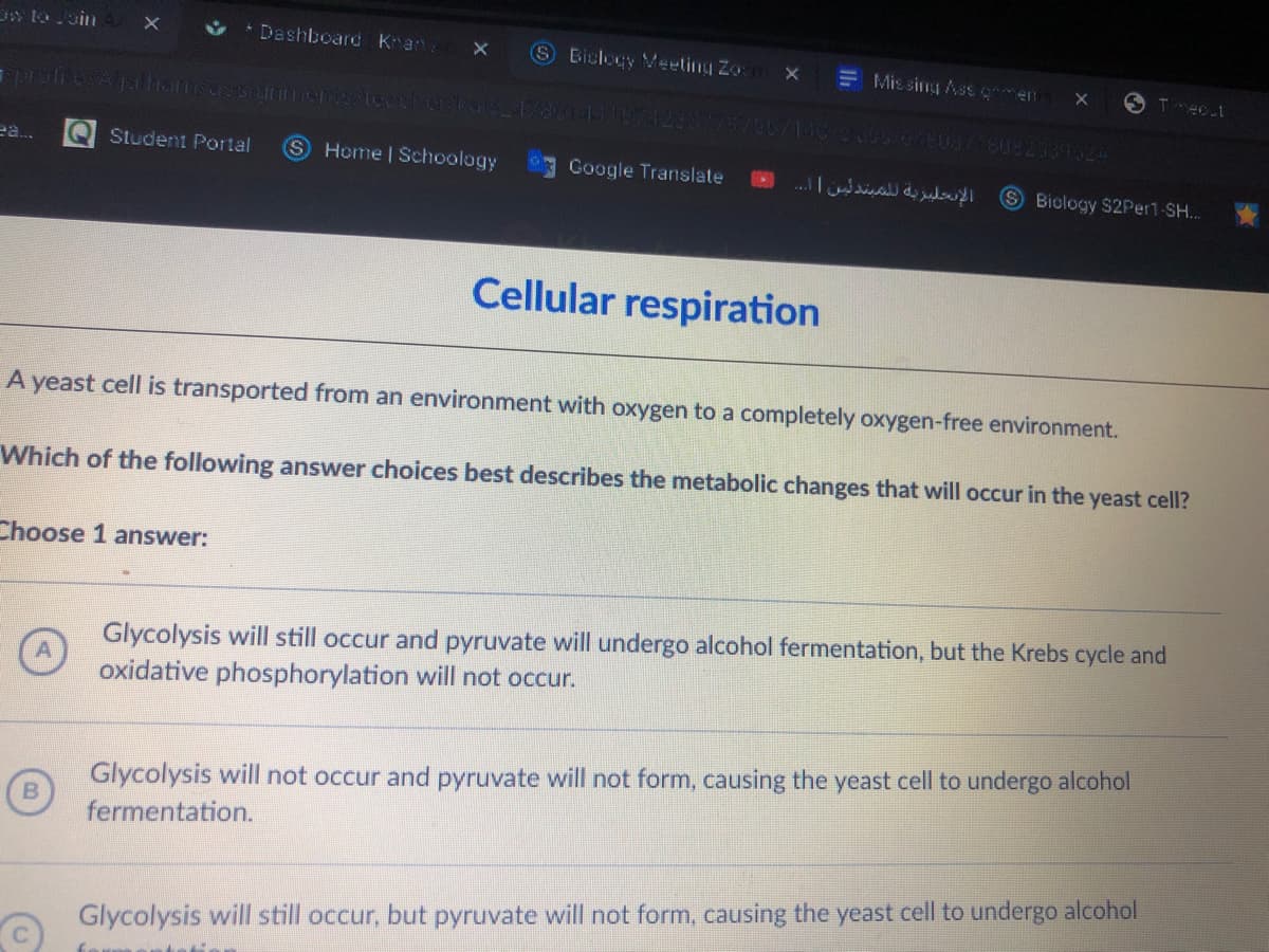 * Dashboard Kan/
S Biclogy Meeting Zo:
E Mis sing Ass qmen
ea..
Student Portal
Home | Schoology
Google Translate
الإنحليرية ل لمبند ئبن ...
S Biology $2Per1-SH...
Cellular respiration
A yeast cell is transported from an environment with oxygen to a completely oxygen-free environment.
Which of the following answer choices best describes the metabolic changes that will occur in the yeast cell?
Choose 1 answer:
Glycolysis will still occur and pyruvate will undergo alcohol fermentation, but the Krebs cycle and
oxidative phosphorylation will not occur.
Glycolysis will not occur and pyruvate will not form, causing the yeast cell to undergo alcohol
fermentation.
Glycolysis will still occur, but pyruvate will not form, causing the yeast cell to undergo alcohol
