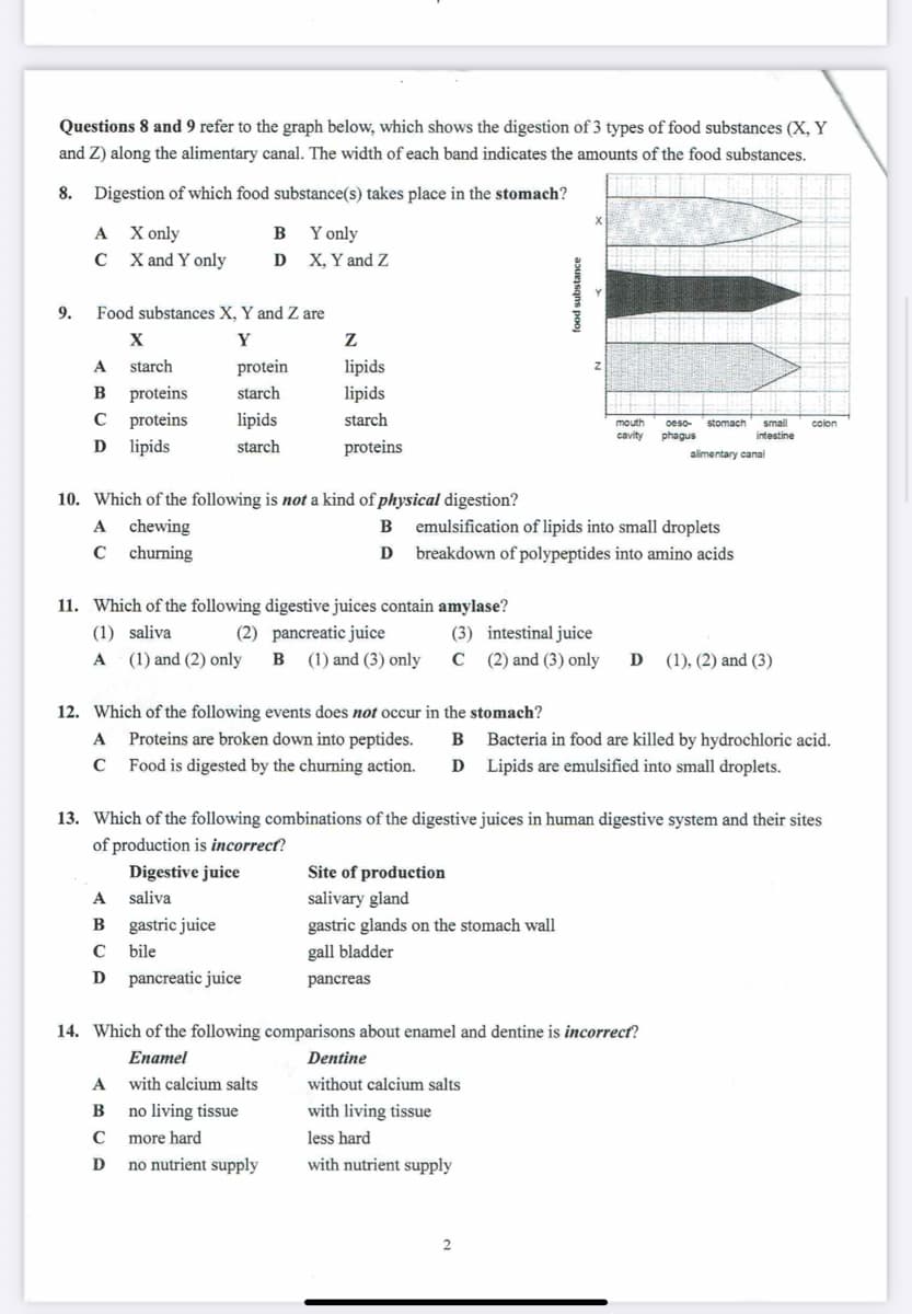 Questions 8 and 9 refer to the graph below, which shows the digestion of 3 types of food substances (X, Y
and Z) along the alimentary canal. The width of each band indicates the amounts of the food substances.
8. Digestion of which food substance(s) takes place in the stomach?
X only
X and Y only
Y only
D X, Y and Z
A
B
9.
Food substances X, Y and Z are
Y
A
starch
protein
lipids
proteins
Cproteins
B
starch
lipids
lipids
starch
mouth
oeso-
stomach
smal
colon
cavity
phagus
intestine
D
lipids
starch
proteins
alimentary canal
10. Which of the following is not a kind of physical digestion?
A
chewing
B
emulsification of lipids into small droplets
C
churning
D
breakdown of polypeptides into amino acids
11. Which of the following digestive juices contain amylase?
(1) saliva
(2) pancreatic juice
B (1) and (3) only
(3) intestinal juice
(1) and (2) only
C ( 2) and (3) only
(1), (2) and (3)
A
12. Which of the following events does not occur in the stomach?
A
Proteins are broken down into peptides.
B
Bacteria in food are killed by hydrochloric acid.
C
Food is digested by the churning action.
D
Lipids are emulsified into small droplets.
13. Which of the following combinations of the digestive juices in human digestive system and their sites
of production is incorrect?
Digestive juice
Site of production
A
saliva
salivary gland
B
gastric juice
gastric glands on the stomach wall
bile
gall bladder
D
pancreatic juice
pancreas
14. Which of the following comparisons about enamel and dentine is incorrect?
Enаmel
Dentine
A
with calcium salts
without calcium salts
B
no living tissue
with living tissue
C
more hard
less hard
D
no nutrient supply
with nutrient supply
