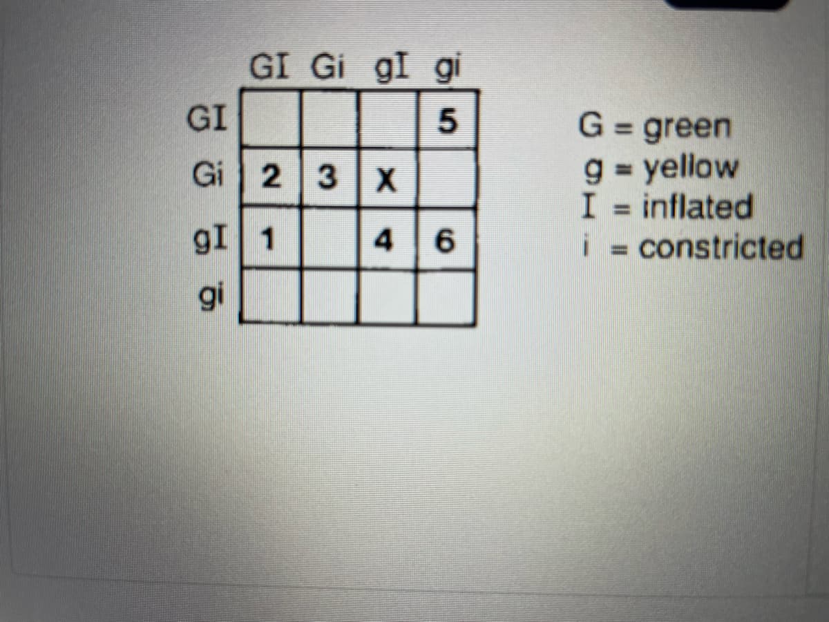 GI
GI Gi gI gi
5
Gi|2|3|X
gI 1
gi
4 6
G = green
yellow
I = inflated
i= constricted