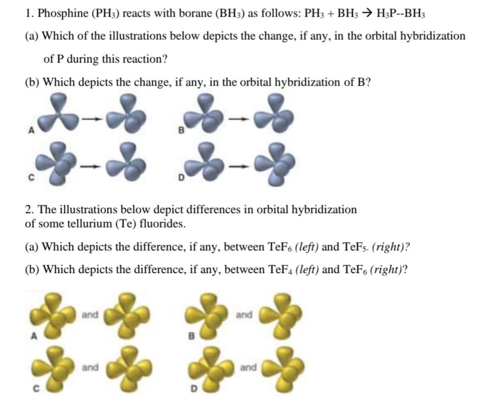 1. Phosphine (PH3) reacts with borane (BH3) as follows: PH3 + BH3 → H3P--BH3
(a) Which of the illustrations below depicts the change, if any, in the orbital hybridization
of P during this reaction?
(b) Which depicts the change, if any, in the orbital hybridization of B?
2. The illustrations below depict differences in orbital hybridization
of some tellurium (Te) fluorides.
(a) Which depicts the difference, if any, between TeF6 (left) and TeFs- (right)?
(b) Which depicts the difference, if any, between TeF4 (left) and TeF6 (right)?
and
and
and
and
D
