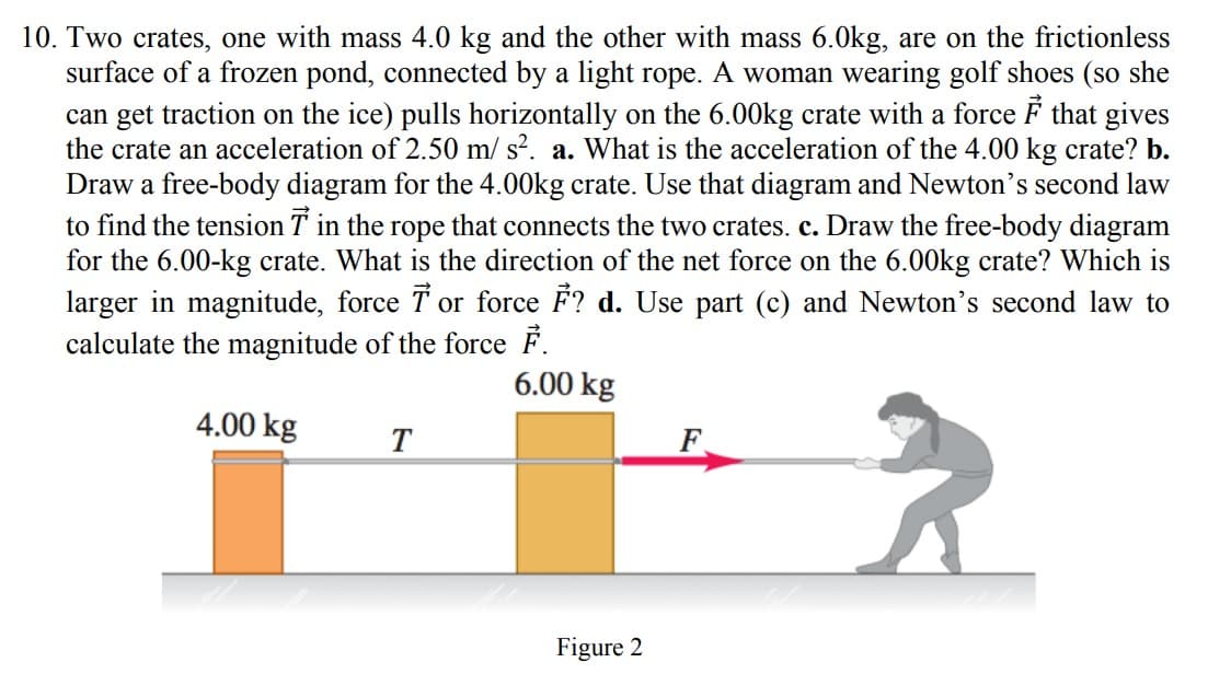 10. Two crates, one with mass 4.0 kg and the other with mass 6.0kg, are on the frictionless
surface of a frozen pond, connected by a light rope. A woman wearing golf shoes (so she
can get traction on the ice) pulls horizontally on the 6.00kg crate with a force F that gives
the crate an acceleration of 2.50 m/s². a. What is the acceleration of the 4.00 kg crate? b.
Draw a free-body diagram for the 4.00kg crate. Use that diagram and Newton's second law
to find the tension 7 in the rope that connects the two crates. c. Draw the free-body diagram
for the 6.00-kg crate. What is the direction of the net force on the 6.00kg crate? Which is
larger in magnitude, force 7 or force F? d. Use part (c) and Newton's second law to
calculate the magnitude of the force F.
6.00 kg
?
4.00 kg
T
Figure 2
F