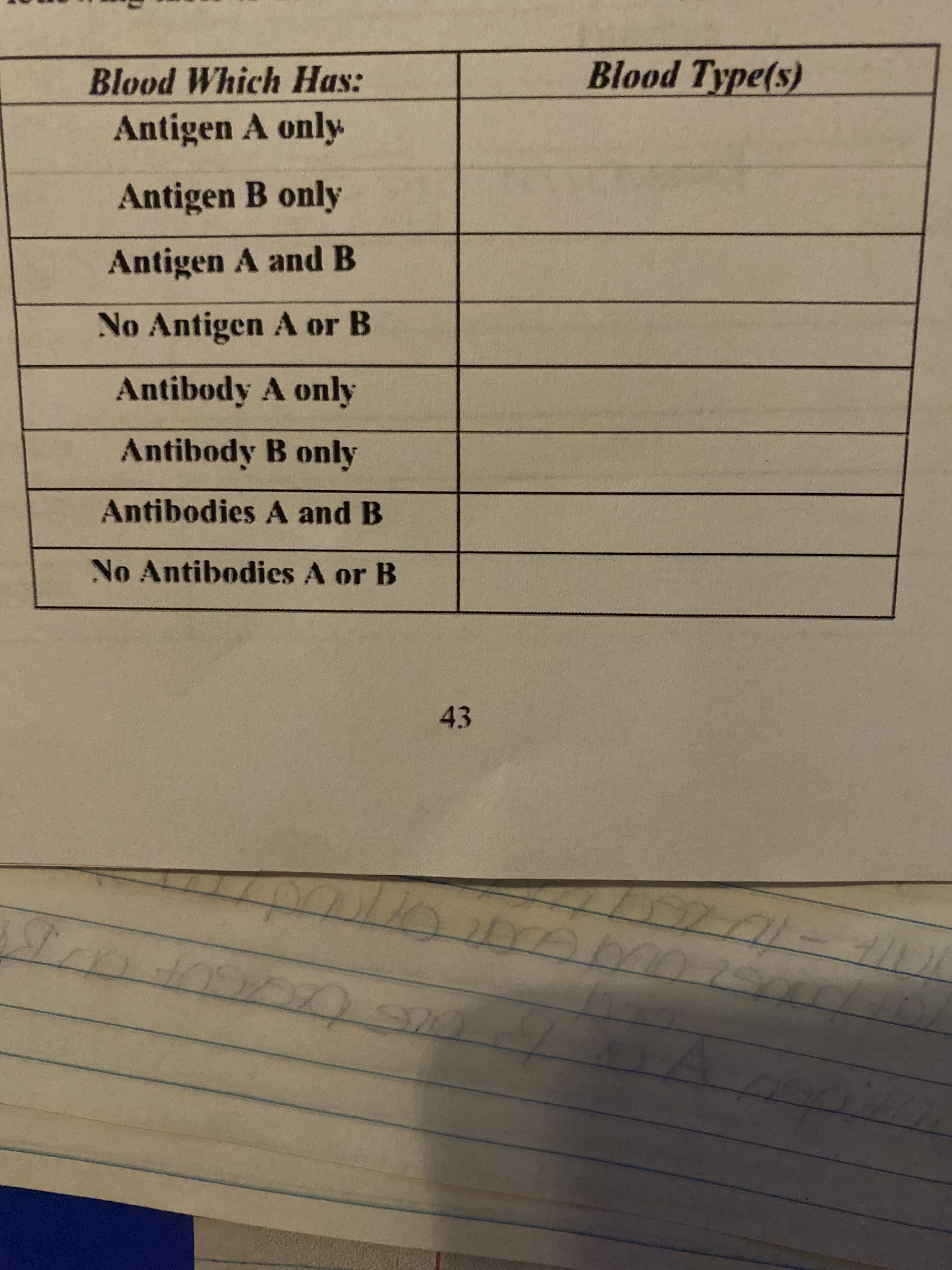 Blood Which Has:
Blood Type(s)
Antigen A only
Antigen B only
Antigen A and B
No Antigen A or B
