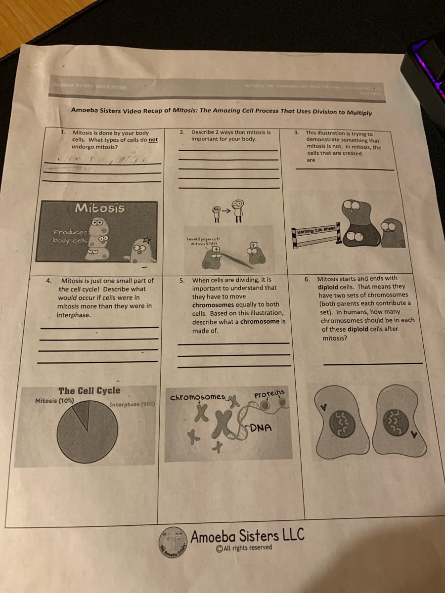 VAitosis cut!
AMOEDA SISTERS VIOKO RECRP
MIois THAMAZINO i PROC HATS OIOLO
ULTIPLY
Amoeba Sisters Video Recap of Mitosis: The Amazing Cell Process That Uses Division to Multiply
Mitosis is done by your body
cells. What types of cells do not
undergo mitosis?
2.
Describe 2 ways that mitosis is
important for your body.
This illustration is trying to
demonstrate something that
3.
mitosis is not. In mitosis, the
cells that are created
are
Mitosis
Produces
body cells
Warning Cu Bhead
6. Mitosis starts and ends with
diploid cells. That means they
When cells are dividing, it is
important to understand that
they have to move
chromosomes equally to both
cells. Based on this illustration,
describe what a chromosome is
Mitosis is just one small part of
the cell cycle! Describe what
4.
5.
would occur if cells were in
have two sets of chromosomes
(both parents each contribute a
set). In humans, how many
chromosomes should be in each
mitosis more than they were in
interphase.
made of.
of these diploid cells after
mitosis?
The Cell Cycle
Mitosis (10%)
chromosomes
Proteins
Interphase (90%)
DNA
Amoeba Sisters LLC
© All rights reserved
Amo
