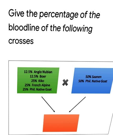 Give the percentage of the
bloodline of the following
crosses
12.5% Anglo Nubian
12.5% Boer
25% Kiko
25% French Alpine
25% Phil. Native Goat
50% Saanen
50% Phil. Native Goat
