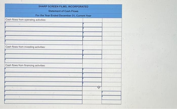 SHARP SCREEN FILMS, INCORPORATED
Statement of Cash Flows
For the Year Ended December 31, Current Year
Cash flows from operating activities:
Cash flows from investing activities:
Cash flows from financing activities: