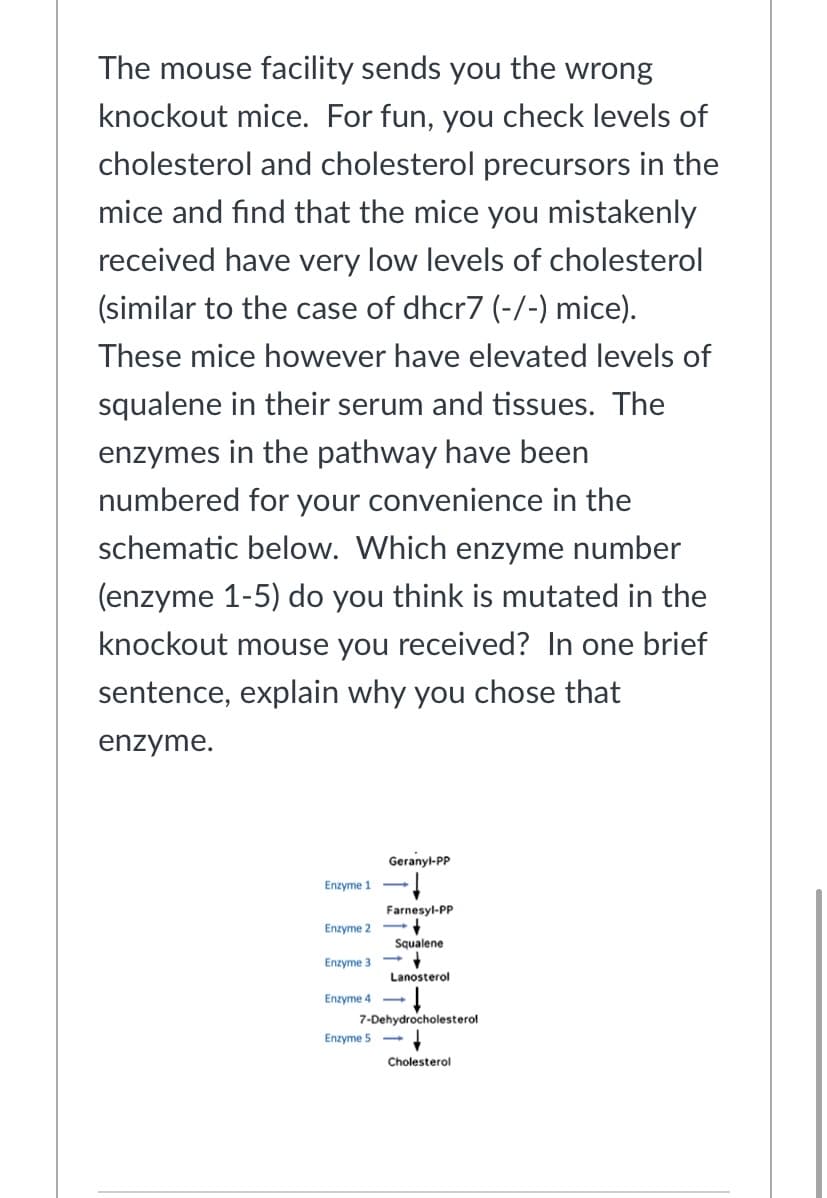 The mouse facility sends you the wrong
knockout mice. For fun, you check levels of
cholesterol and cholesterol precursors in the
mice and find that the mice you mistakenly
received have very low levels of cholesterol
(similar to the case of dhcr7 (-/-) mice).
These mice however have elevated levels of
squalene in their serum and tissues. The
enzymes in the pathway have been
numbered for your convenience in the
schematic below. Which enzyme number
(enzyme 1-5) do you think is mutated in the
knockout mouse you received? In one brief
sentence, explain why you chose that
enzyme.
Geranyl-PP
Enzyme 1 -
Farnesyl-PP
Enzyme 2
Squalene
Enzyme 3
Lanosterol
Enzyme 4
7-Dehydrocholesterol
Enzyme 5 -
Cholesterol
