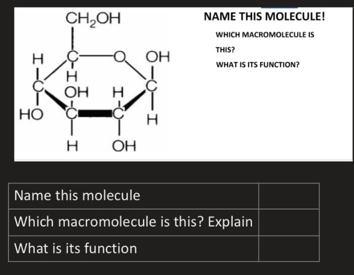 CH,OH
NAME THIS MOLECULE!
WHICH MACROMOLECULE IS
THIS?
OH
WHAT IS ITS FUNCTION?
OH
H
НО
OH
Name this molecule
Which macromolecule is this? Explain
What is its function
