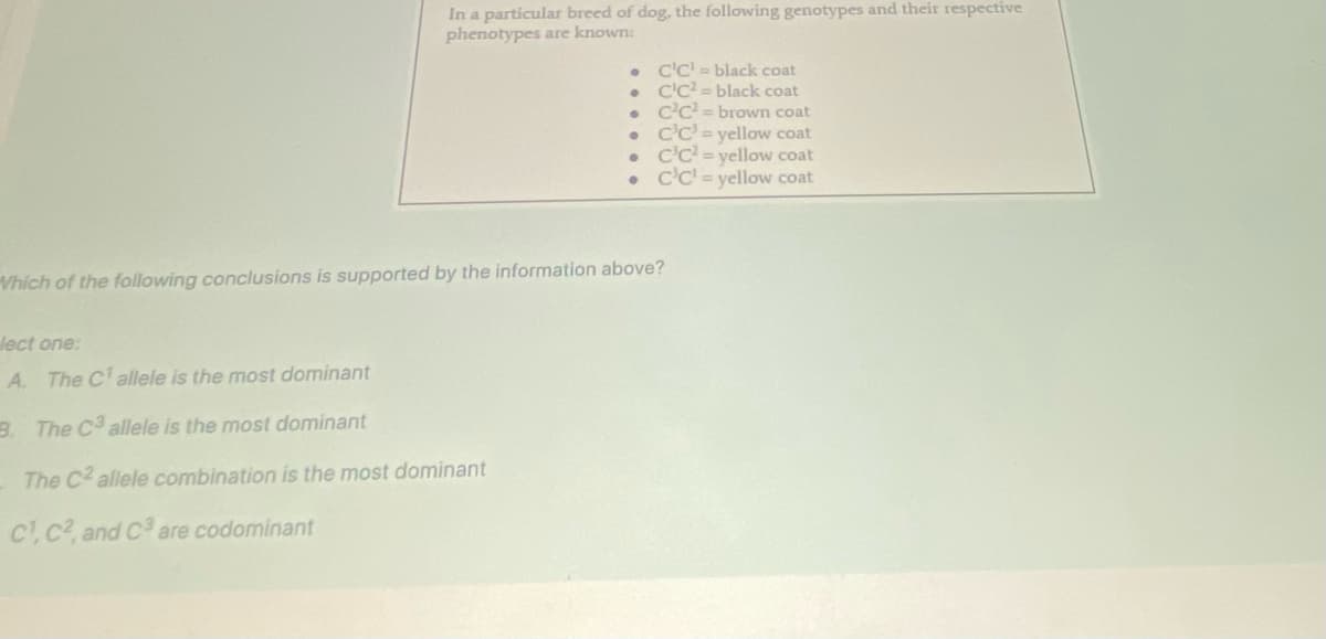 In a particular breed of dog, the following genotypes and their respective
phenotypes are known:
●
•
lect one:
A. The C¹ allele is the most dominant
3. The C3 allele is the most dominant
The C2 allele combination is the most dominant
C1, C², and C3 are codominant
C'C' = black coat
C'C² = black coat
• C²C²= brown coat
•
●
C'C' =yellow coat
C'C²=yellow coat
C'C'=yellow coat
Which of the following conclusions is supported by the information above?