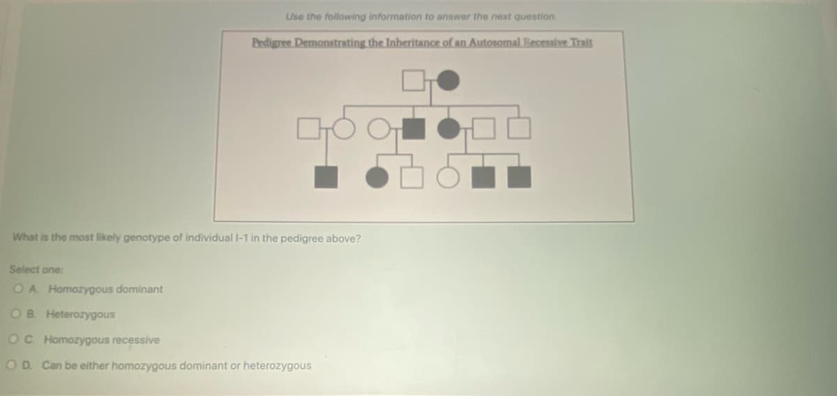 Use the following information to answer the next question.
Pedigree Demonstrating the Inheritance of an Autosomal Recessive Trait
GOO
What is the most likely genotype of individual 1-1 in the pedigree above?
Select one:
OA Homozygous dominant
OB. Heterozygous
OC Homozygous recessive
OD. Can be either homozygous dominant or heterozygous