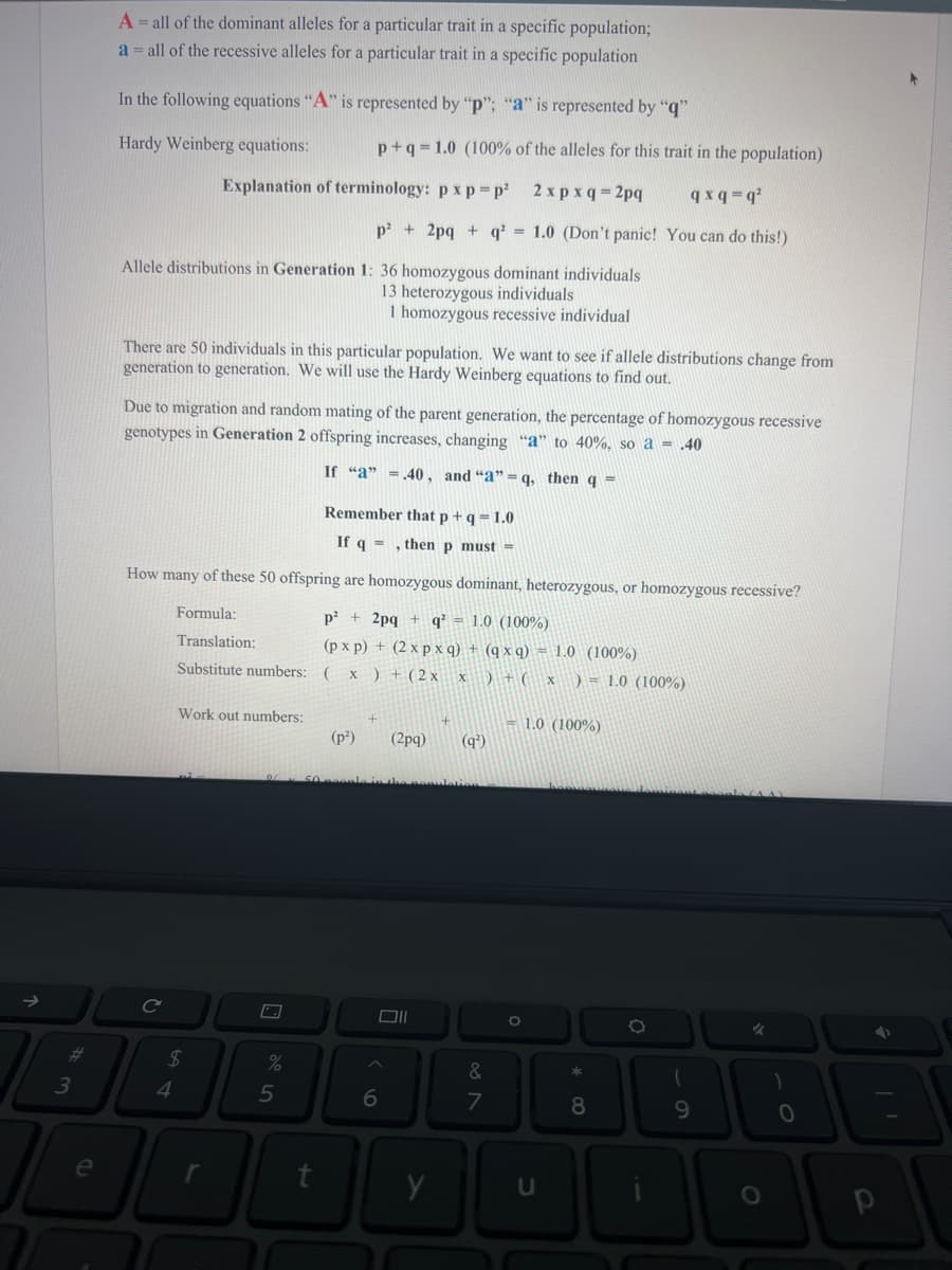 #
3
e
A = all of the dominant alleles for a particular trait in a specific population;
a = all of the recessive alleles for a particular trait in a specific population
In the following equations "A" is represented by "p"; "a" is represented by "q"
Hardy Weinberg equations:
Allele distributions in Generation 1: 36 homozygous dominant individuals
13 heterozygous individuals
1 homozygous recessive individual
There are 50 individuals in this particular population. We want to see if allele distributions change from
generation to generation. We will use the Hardy Weinberg equations to find out.
p+q=1.0 (100% of the alleles for this trait in the population)
Explanation of terminology: px p=p² 2 xpxq=2pq qxq=q²
p² + 2pq+q² = 1.0 (Don't panic! You can do this!)
Due to migration and random mating of the parent generation, the percentage of homozygous recessive
genotypes in Generation 2 offspring increases, changing "a" to 40%, so a = .40
If "a" = .40, and "a"=q, then q =
Remember that p+q=1.0
If q, then p must =
How many of these 50 offspring are homozygous dominant, heterozygous, or homozygous recessive?
p²+2pq+q² = 1.0 (100%)
Formula:
Translation:
(pxp) + (2xpxq) + (qxq) = 1.0 (100%)
Substitute numbers:
( X ) + (2x x ) + ( x ) = 1.0 (100%)
Work out numbers:
$
4
r
%
5
(p²) (2pq)
Oll
6
y
(9²)
081
&
7
O
1.0 (100%)
* 00
8
O
(
9
al (44)
✓
O
)
0
✔
P