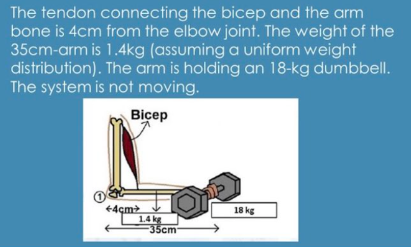 The tendon connecting the bicep and the arm
bone is 4cm from the elbow joint. The weight of the
35cm-arm is 1.4kg (assuming a uniform weight
distribution). The arm is holding an 18-kg dumbbell.
The system is not moving.
Bicep
€4çm>
1.4 kg
35cm
18 kg
