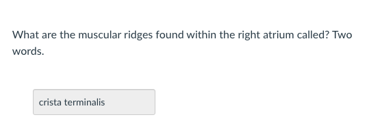 What are the muscular ridges found within the right atrium called? Two
words.
crista terminalis
