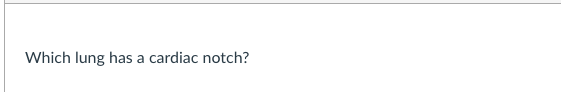 Which lung has a cardiac notch?
