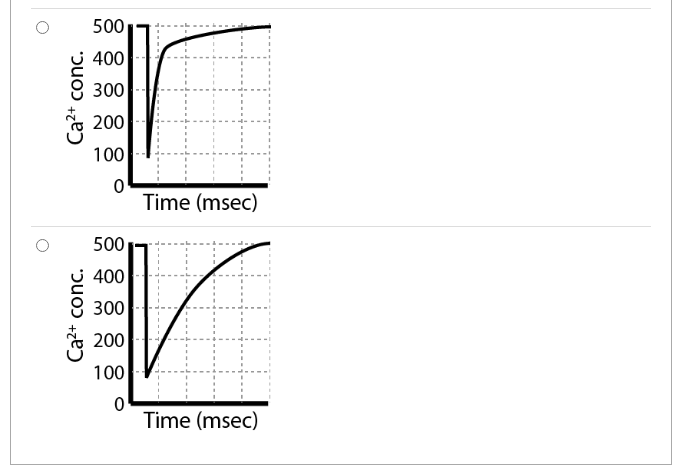 500
400
300
200
100
Time (msec)
500
400
300
* 200
100
Time (msec)
Ca2+ conc.
Ca²+ conc.
