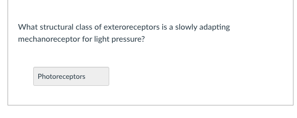 What structural class of exteroreceptors is a slowly adapting
mechanoreceptor for light pressure?
Photoreceptors
