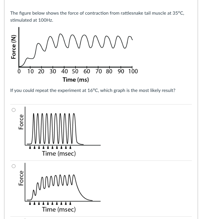 The figure below shows the force of contraction from rattlesnake tail muscle at 35°C,
stimulated at 100HZ.
ó 10 20 30 40 50 60 70 80 90 100
Time (ms)
If you could repeat the experiment at 16°C, which graph is the most likely result?
Time (msec)
Time (msec)
Force (N)
Force
Force
