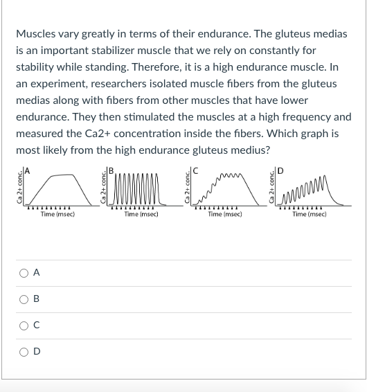 Muscles vary greatly in terms of their endurance. The gluteus medias
is an important stabilizer muscle that we rely on constantly for
stability while standing. Therefore, it is a high endurance muscle. In
an experiment, researchers isolated muscle fibers from the gluteus
medias along with fibers from other muscles that have lower
endurance. They then stimulated the muscles at a high frequency and
measured the Ca2+ concentration inside the fibers. Which graph is
most likely from the high endurance gluteus medius?
Time (msec)
Time (msec)
Time (msec)
Time (msec)
A
В
