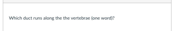 Which duct runs along the the vertebrae (one word)?
