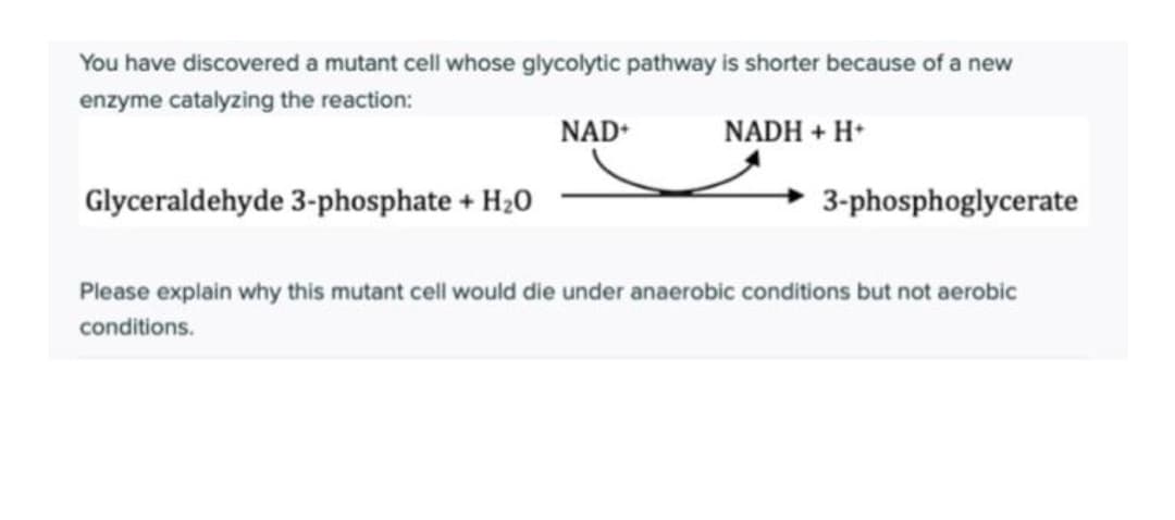 You have discovered a mutant cell whose glycolytic pathway is shorter because of a new
enzyme catalyzing the reaction:
NAD+
NADH + H*
Glyceraldehyde 3-phosphate + H20
3-phosphoglycerate
Please explain why this mutant cell would die under anaerobic conditions but not aerobic
conditions.
