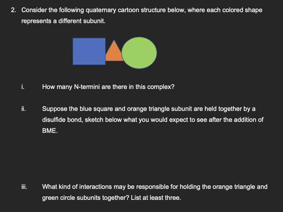 2. Consider the following quaternary cartoon structure below, where each colored shape
represents a different subunit.
i.
ii.
iii.
How many N-termini are there in this complex?
Suppose the blue square and orange triangle subunit are held together by a
disulfide bond, sketch below what you would expect to see after the addition of
BME.
What kind of interactions may be responsible for holding the orange triangle and
green circle subunits together? List at least three.