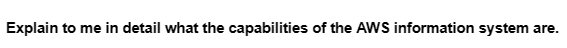 Explain to me in detail what the capabilities of the AWS information system are.