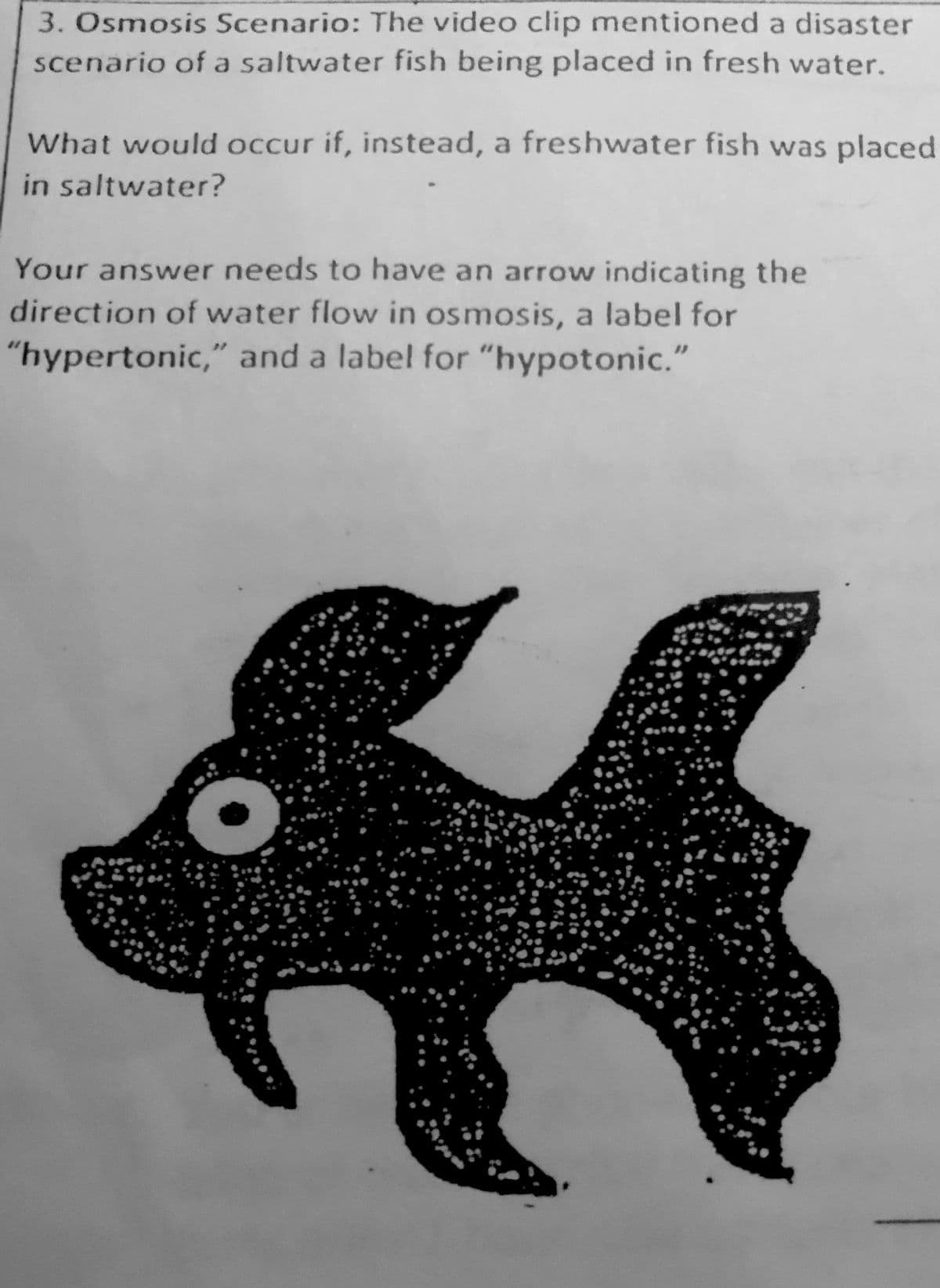 3. Osmosis Scenario: The video clip mentioned a disaster
scenario of a saltwater fish being placed in fresh water.
What would occur if, instead, a freshwater fish was placed
in saltwater?
Your answer needs to have an arrow indicating the
direction of water flow in osmosis, a label for
"hypertonic," and a label for "hypotonic."
*