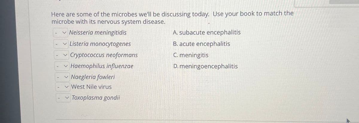 Here are some of the microbes we'll be discussing today. Use your book to match the
microbe with its nervous system disease.
Neisseria meningitidis
Listeria monocytogenes
Cryptococcus neoformans
Haemophilus influenzae
× Naegleria fowleri
West Nile virus
Toxoplasma gondii
A. subacute encephalitis
B. acute encephalitis
C. meningitis
D. meningoencephalitis