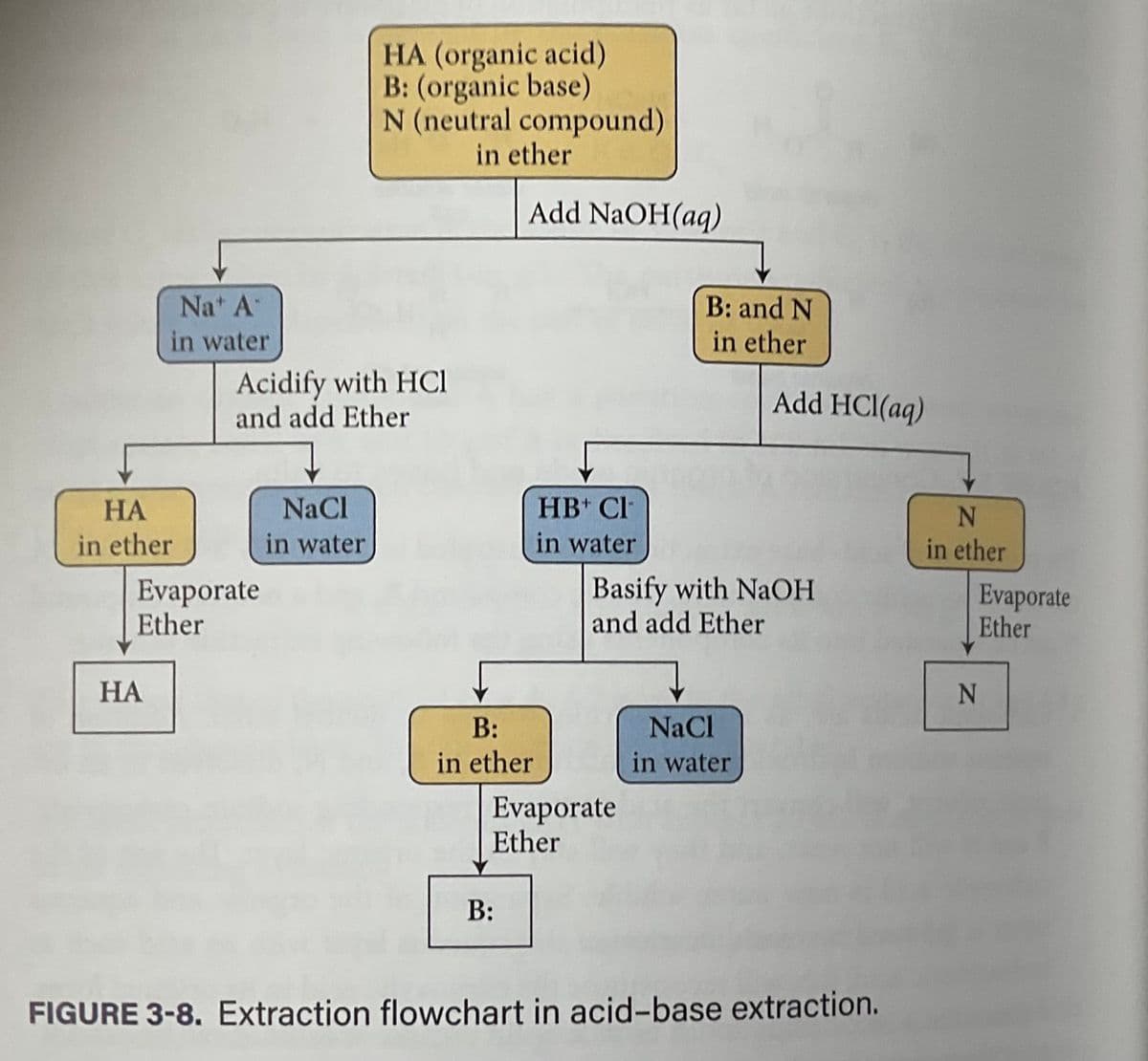 Na* A*
in water
HA
in ether
HA
Evaporate
Ether
Acidify with HCl
and add Ether
HA (organic acid)
B: (organic base)
N (neutral compound)
in ether
NaCl
in water
Add NaOH(aq)
B:
in ether
B:
HB Cl
in water
Evaporate
Ether
B: and N
in ether
Basify with NaOH
and add Ether
Add HCl(aq)
NaCl
in water
FIGURE 3-8. Extraction flowchart in acid-base extraction.
N
in ether
Evaporate
Ether
N