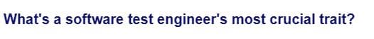 What's a software test engineer's most crucial trait?