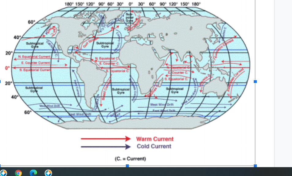 180° 150° 120° 90° 60° 30° 0 30' 60° 90° 120 150° 180
pol
60
40
Subtical
Subtropic
Gyte
Crrent
20
N Equa Cument
E Conter Current
N Equatoal c
E Couer C.
0°
S. Equorial Cumer
Equatoris C
ECounter C.
20°
ustorial
Subtrapical
Gy
Subtrapics
Gyre
setropical
Gyre
40
We d De
West Wing Drit
60
Wind
Warm Current
Cold Current
(C. = Current)
