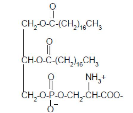 CH,0-C-(CH,)1,CH,
CH-O-C-(CH,),6CH,
NH,+
CH,0-P-O-CH,-CH-COO-
