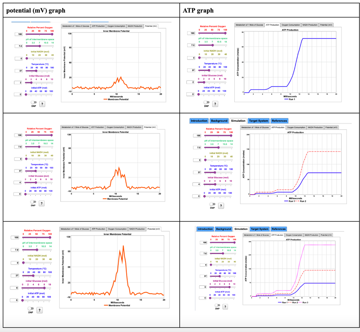 potential (mV) graph
100
7.0
37
100
8
7.0
0
0
37
0
7,0
0
pH of intermembrane space
7 10.5
0
0
0
0
Relative Percent Oxygen
25
50 75 100
0
0
Initial NADH (mol)
10 20
30
0
Temperature (°C)
initial Glucose (mol)
4 6
Relative Percent Oxygen
25 50 75 100
initial ATP (mol)
pH of intermembrane space
0
10.5 14
initial NADH (mol)
10
20 30 40
Temperature (°C)
20 40 60 80 100
initial Glucose (mol)
Relative Percent Oxygen
25 50 75 100
40
initial ATP (mol)
20 40 60 80 100
pH of intermembrane space
0 3.5
10.5 14
initial NADH (mol)
10 20 30
Temperature (°C)
0 20 40 60 80 100
initial Glucose (mol)
6
initial ATP (mol)
20 40 60 80 100
DNP
?
Metabollam of 1 Mole of Glucose ATP Production Oxygen Consumption NADH Production Potential (mv)
-10
130
130
Inner Membrane Potential
Metabolism of 1 Mole of Glucose ATP Production Oxygen Consumption NADH Production Potential (MV)
95
Milliseconds
25
-Membrane Potential
Inner Membrane Potential
Milliseconds
-Membrane Potential
Metabolism of 1 Mole of Glucose ATP Production Oxygen Consumption NADH Production Potential (mv)
Inner Membrane Potential
15
10
Milliseconds
-Membrane Potential
15
15
ATP graph
100
7.0
0
37
pH of intermembrane space
0
3.5 7 10.5 14
0
Relative Percent Oxygen
25 50 75 100
0
0
0
100
7.0
initial NADH (mol)
10
20
37
Temperature (°C)
20 40 60 80 100
initial Glucose (mol)
DNP
Introduction Background
initial ATP (mol)
20 40 60 80 100
0
30 40
6 8 10
pH of intermembrane space
0
10.5 14
02
100
7.0
Temperature (°C)
0 20 40 60 80 100
37
Oxygen
25 50 75 100
initial NADH (mol)
10 20 30 40
initial Glucose (mol)
6
8
Simulation
initial ATP (mol)
a
DNP
Introduction Background Simulation Target System
Metabolism of 1 Mole of Glucose
Relative Percent Oxygen
25
75 100
pH of intermembrane space
0
3.5 7 10.5 14
Initial NADH (mol)
10
20 30
Temperature ("C)
initial Glucose (mol)
Metabolism of 1 Mole of Glucose
?
40
8 10
initial ATP (mol)
020 40 60 80 100
Target System
Metabolism of 1 Mole of Glucose
ATP Production Oxygen Consumption NADH Production Potential (mv)
ATP Production
200
Milliseconds
References
ATP Production Oxygen Consumption NADH Production Potential (mv)
ATP Production
12
Milliseconds
-Run 1 Run 2
References
ATP Production Oxygen Consumption
ATP Production
NADH Production Potal (m)
Milliseconds
-Run 1 Run 2 Run 3