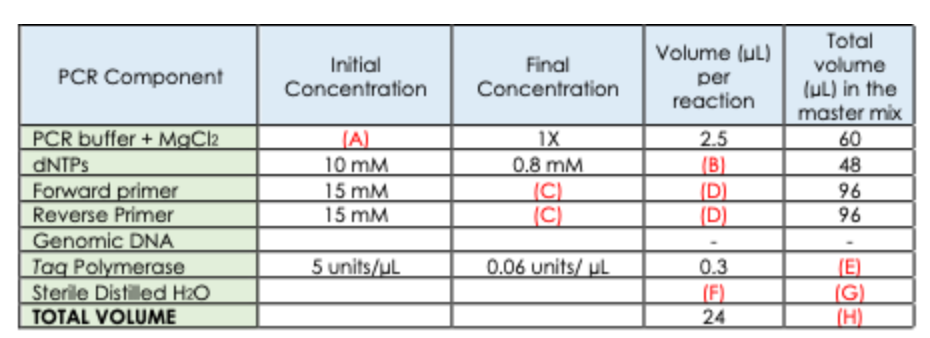 PCR Component
PCR buffer + MgCl2
dNTPs
Forward primer
Reverse Primer
Genomic DNA
Tag Polymerase
Sterile Distilled H₂O
TOTAL VOLUME
Initial
Concentration
(A)
10 mM
15 mM
15 mM
5 units/uL
Final
Concentration
1X
0.8 mM
(C)
(C)
0.06 units/UL
Volume (ul)
per
reaction
2.5
(B)
(D)
(D)
0.3
(F)
24
Total
volume
(ul) in the
master mix
60
48
96
96
EGH
(E)
(H)