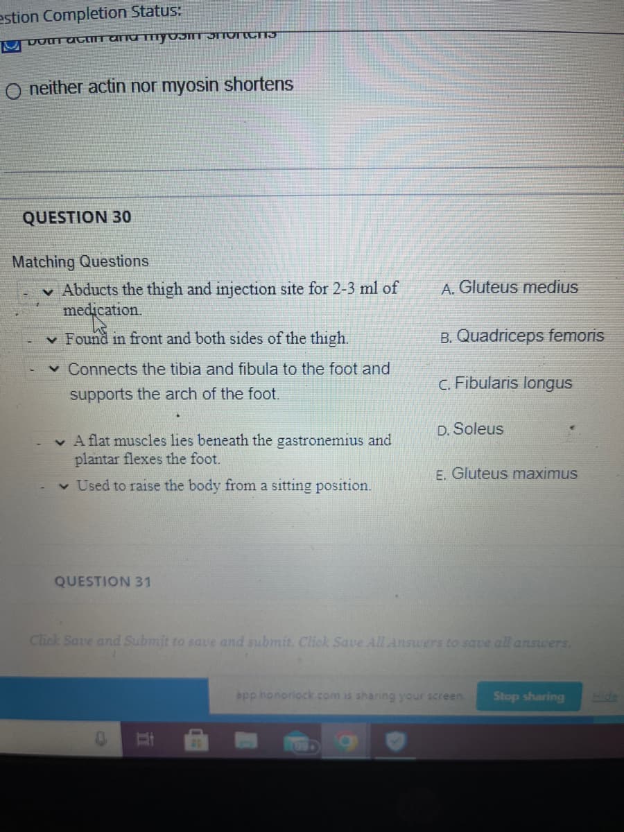estion Completion Status:
DOUT acon and myosiN SHONCH3
O neither actin nor myosin shortens
QUESTION 30
Matching Questions
Abducts the thigh and injection site for 2-3 ml of
medication.
✓ Found in front and both sides of the thigh.
✓ Connects the tibia and fibula to the foot and
supports the arch of the foot.
A flat muscles lies beneath the gastronemius and
plantar flexes the foot.
✓ Used to raise the body from a sitting position.
QUESTION 31
A. Gluteus medius
25
B.Quadriceps femoris
c. Fibularis longus
D. Soleus
E. Gluteus maximus
Click Save and Submit to save and submit. Click Save All Answers to save all answers.
app honorlock.com is sharing your screen. Stop sharing