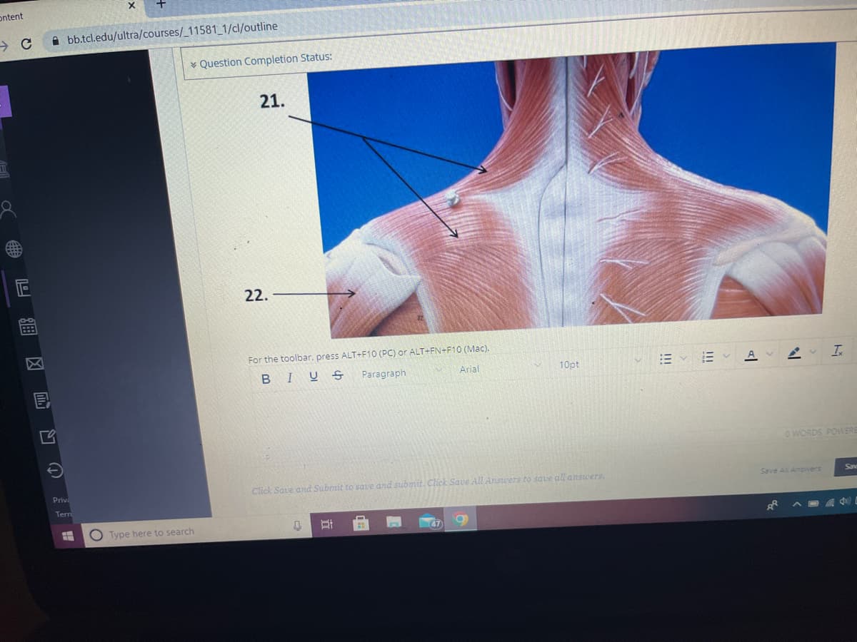 ontent
8
ORTA
X
Abb.tcl.edu/ultra/courses/_11581_1/cl/outline
Priva
Tern
OType here to search
Question Completion Status:
21.
22.
For the toolbar, press ALT+F10 (PC) or ALT+FN+F10 (Mac).
BIUS Paragraph
Arial
V
Q St
10pt
Click Save and Submit to save and submit. Click Save All Answers to save all answers.
12 - 13 -
A
Save All Answers
Å
T
0 WORDS POWERE
Sav