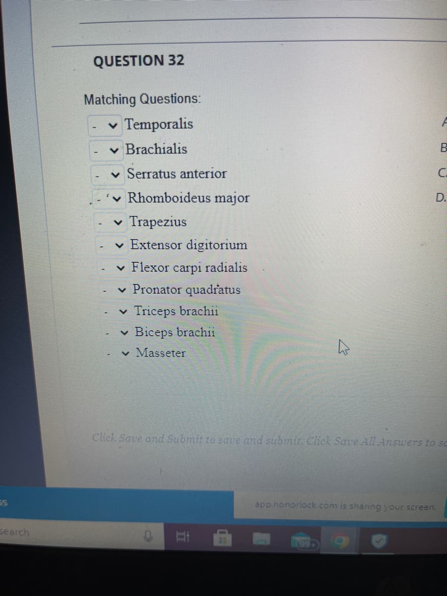 SS
search
QUESTION 32
Matching Questions:
✓ Temporalis
✓ Brachialis
Serratus anterior
Rhomboideus major
✓ Trapezius
✓ Extensor digitorium
✓ Flexor carpi radialis
Pronator quadratus
Triceps brachii
Biceps brachii
V
✓ Masseter
h
II
C.
Click Save and Submit to save and submit. Click Save All Answers to sc
app.honorlock.com is sharing your screen.
Ō