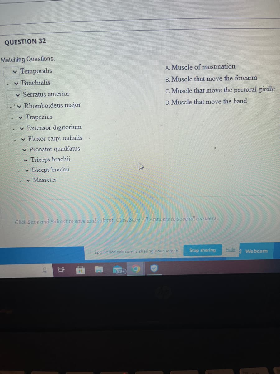 QUESTION 32
Matching Questions:
V Temporalis
✓ Brachialis
Serratus anterior
Rhomboideus major
✓ Trapezius
Extensor digitorium
✓ Flexor carpi radialis
Pronator quadratus
Triceps brachii
✓ Biceps brachii
✓ Masseter
Click Save and Submit to save and submit. Click Save All Answers to save all answers.
10
A. Muscle of mastication
B. Muscle that move the forearm
C. Muscle that move the pectoral girdle
D. Muscle that move the hand
app.honorlock.com is sharing your screen.
(99+
Stop sharing
Hide
Webcam
