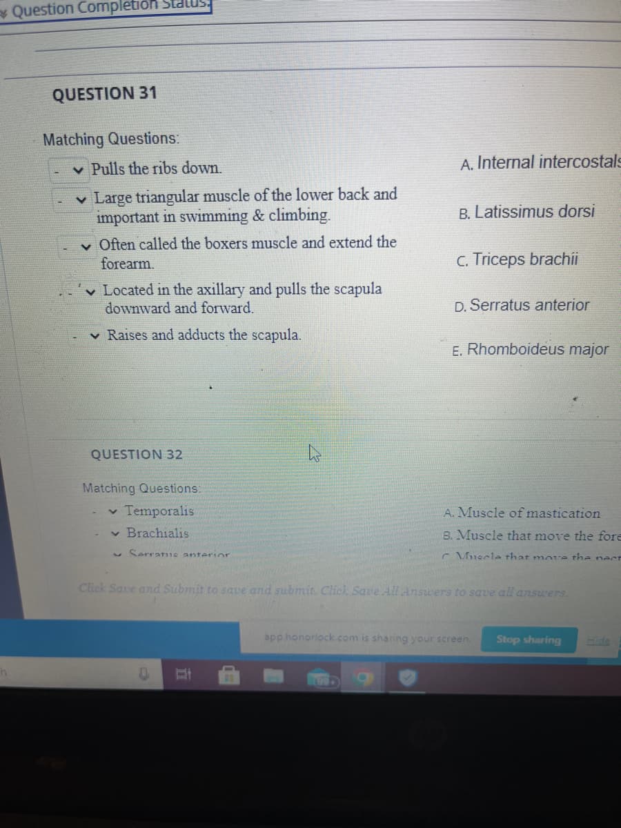 Question Completion Status:
QUESTION 31
Matching Questions:
Pulls the ribs down.
✓ Large triangular muscle of the lower back and
important in swimming & climbing.
✓ Often called the boxers muscle and extend the
forearm.
Located in the axillary and pulls the scapula
downward and forward.
Raises and adducts the scapula.
QUESTION 32
Matching Questions:
✓ Temporalis
✓ Brachialis
Serrane anterior
A. Internal intercostals
At
B. Latissimus dorsi
C. Triceps brachii
D. Serratus anterior
E. Rhomboideus major
A. Muscle of mastication
B. Muscle that move the fore
Muscle that more the nect
Click Save and Submit to save and submit. Click Save All Answers to save all answers.
app.honorlock.com is sharing your screen. Stop sharing
Hide