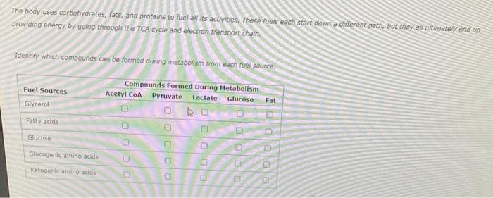 The body uses carbohydrates, fats, and proteins to fuel all its activities. These fuels each start down a different path, but they all ultimately end up
providing energy by going through the TCA cycle and electron transport chain.
Identify which compounds can be formed during metabolism from each fuel source.
Compounds Formed During Metabolism
Glucose
Fuel Sources
Glycerol
Fatty acids
Glucose
Glucogenic amino acids
Ketogenic amino acids
Acetyl COA Pyruvate Lactate
O
B
U
0
040
O
O
D
0
0000
1
200000
Fat