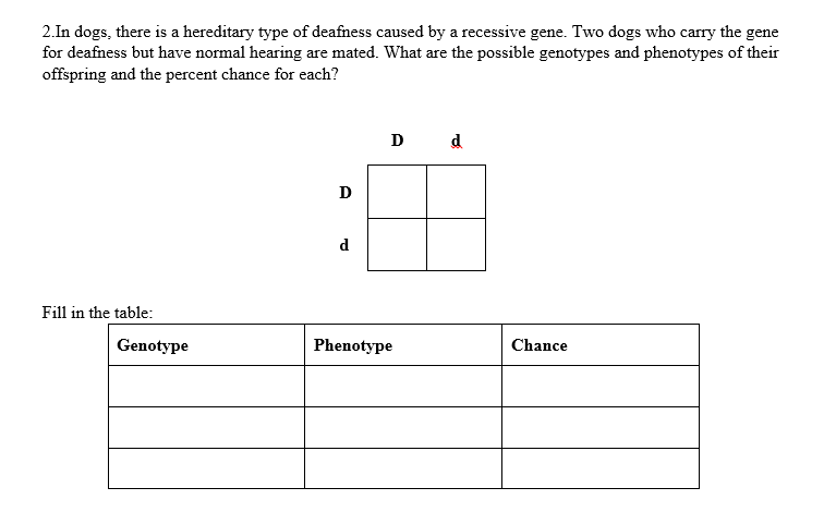 2.In dogs, there is a hereditary type of deafness caused by a recessive gene. Two dogs who carry the gene
for deafness but have normal hearing are mated. What are the possible genotypes and phenotypes of their
offspring and the percent chance for each?
D d
d
Fill in the table:
Genotype
Phenotype
Chance
