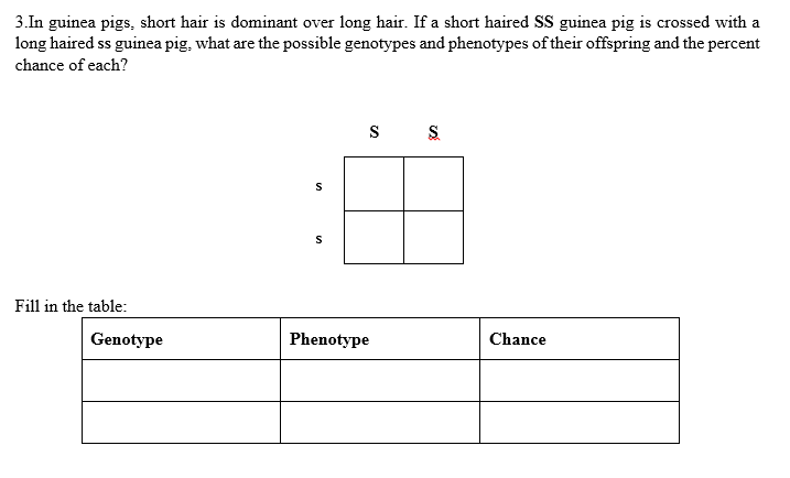 3.In guinea pigs, short hair is dominant over long hair. If a short haired SS guinea pig is crossed with a
long haired ss guinea pig, what are the possible genotypes and phenotypes of their offspring and the percent
chance of each?
Fill in the table:
Genotype
Phenotype
Chance
