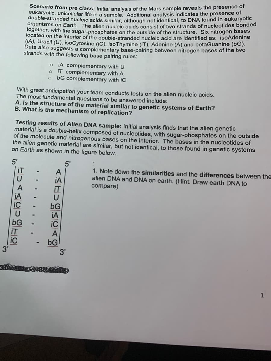 Scenario from pre class: Initial analysis of the Mars sample reveals the presence of
eukaryotic, unicellular life in a sample, Additional analysis indicates the presence of
double-stranded nucleic acids similar, although not identical, to DNA found in eukaryotic
organisms on Earth. The alien nucleic acids consist of two strands of nucleotides bonded
together, with the sugar-phosphates on the outside of the structure. Six nitrogen bases
located on the interior of the double-stranded nucleic acid are identified as: isoAdenine
(IA), Uracil (U), isoCytosine (iC), isoThymine (iT), Adenine (A) and betaGuanine (bG).
Data also suggests a complementary base-pairing between nitrogen bases of the two
strands with the following base pairing rules:
iA complementary with U
iT complementary with A
o bG complementary with iC
