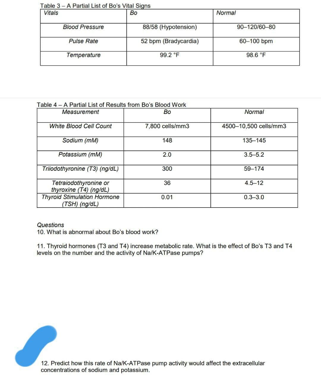 Table 3- A Partial List of Bo's Vital Signs
Vitals
Во
Normal
Blood Pressure
88/58 (Hypotension)
90-120/60-80
Pulse Rate
52 bpm (Bradycardia)
60–100 bpm
Temperature
99.2 °F
98.6 °F
Table 4 – A Partial List of Results from Bo's Blood Work
Measurement
Во
Normal
White Blood Cell Count
7,800 cells/mm3
4500–10,500 cells/mm3
Sodium (mM)
148
135-145
Potassium (mM)
2.0
3.5-5.2
Triiodothyronine (T3) (ng/dL)
300
59-174
Tetraiodothyronine or
thyroxine (T4) (ng/dL)
Thyroid Stimulation Hormone
(TSH) (ng/dL)
36
4.5-12
0.01
0.3-3.0
Questions
10. What is abnormal about Bo's blood work?
11. Thyroid hormones (T3 and T4) increase metabolic rate. What is the effect of Bo's T3 and T4
levels on the number and the activity of Na/K-ATPase pumps?
12. Predict how this rate of Na/K-ATPase pump activity would affect the extracellular
concentrations of sodium and potassium.
