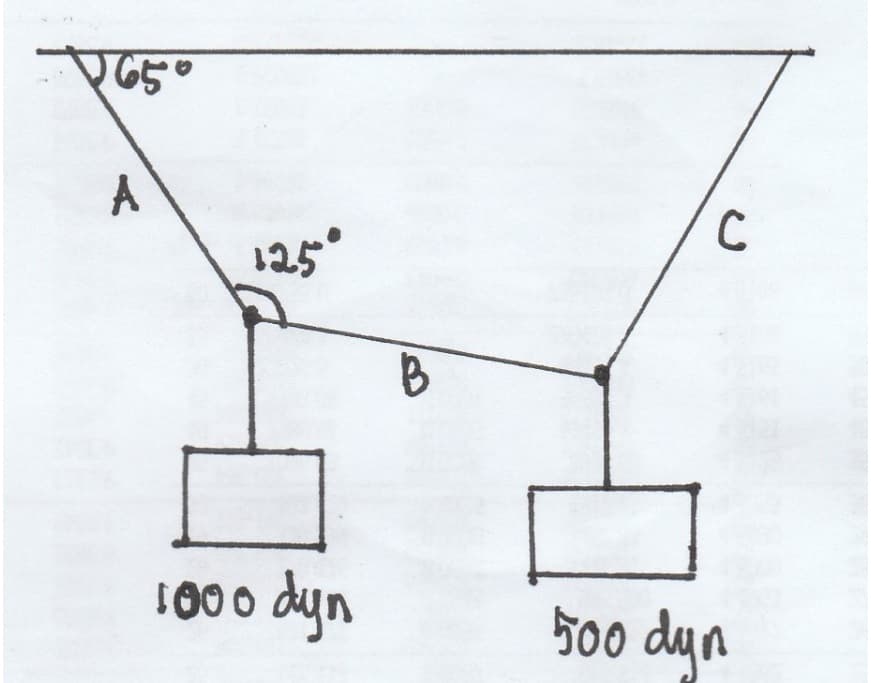 A
C
125°
B
1000 dyn
500 dyn
