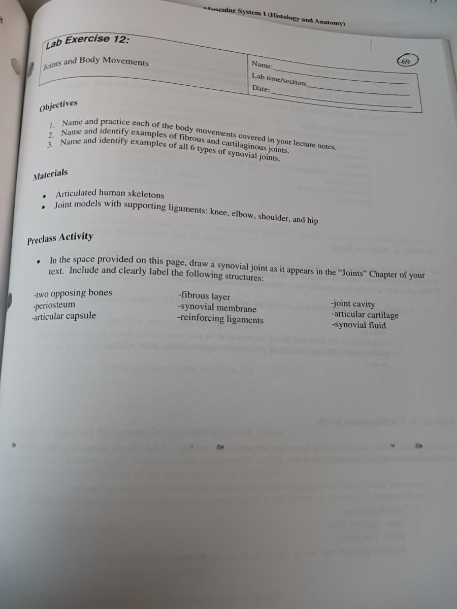 2. Name and identify examples of fibrous and cartilaginous joints.
3. Name and identify examples of all 6 types of synovial joints.
Name and practice each of the body movements covered in your lecture notes.
Muscular System I (Histology and Anatomy)
Lab Exercise 12-
69
Name:
Loints and Body Movements
Lab time/section:
Date:
Objectives
1.
Materials
Articulated human skeletons
Joint models with supporting ligaments: knee, elbow, shoulder, and hip
Preclass Activity
In the space provided on this page, draw a synovial joint as it appears in the "Joints" Chapter of your
text. Include and clearly label the following structures:
-two opposing bones
-periosteum
-articular capsule
-fibrous layer
-synovial membrane
-reinforcing ligaments
-joint cavity
-articular cartilage
-synovial fluid
