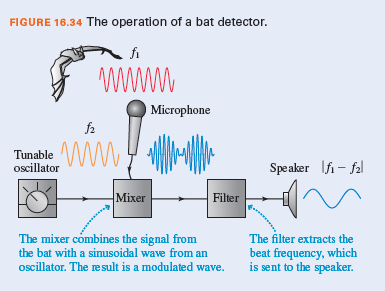 FIGURE 16.34 The operation of a bat detector.
Microphone
Tunable
oscillator
ww
Speaker Ifi - fal
Mixer
Filter
The mixer combines the signal from
the bat with a sinusoidal wave from an
ocillator. The result is a modulated wave.
The filter extracts the
beat frequency, which
is sent to the speaker.
