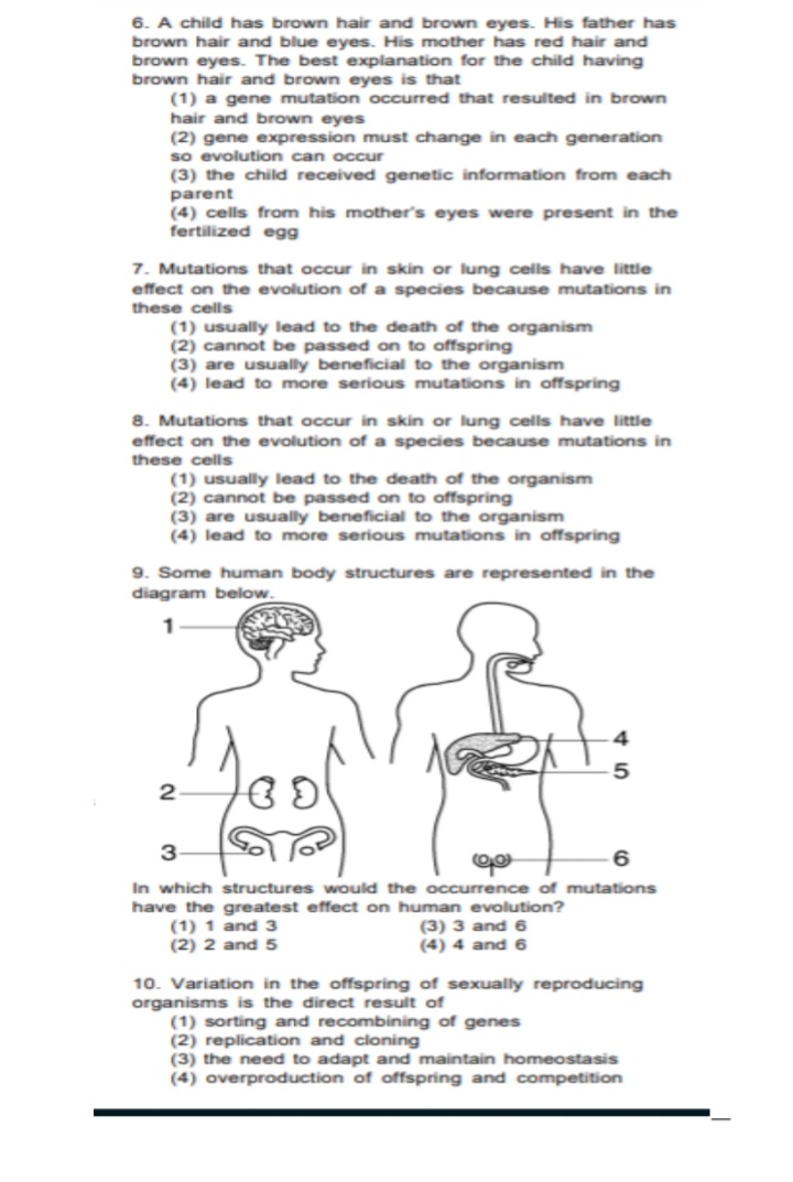 6. A child has brown hair and brown eyes. His father has
brown hair and blue eyes. His mother has red hair and
brown eyes. The best explanation for the child having
brown hair and brown eyes is that
(1) a gene mutation occurred that resulted in brown
hair and brown eyes
(2) gene expression must change in each generation
so evolution can occur
(3) the child received genetic information from each
parent
(4) cells from his mother's eyes were present in the
fertilized egg
7. Mutations that occur in skin or lung cells have little
effect on the evolution of a species because mutations in
these cells
(1) usually lead to the death of the organism
(2) cannot be passed on to offspring
(3) are usually beneficial to the organism
(4) lead to more serious mutations in offspring
8. Mutations that occur in skin or lung cells have little
effect on the evolution of a species because mutations in
these cells
(1) usually lead to the death of the organism
(2) cannot be passed on to offspring
(3) are usually beneficial to the organism
(4) lead to more serious mutations in offspring
9. Some human body structures are represented in the
diagram below.
2
3
In which structures would the occurrence of mutations
have the greatest effect on human evolution?
(1) 1 and 3
(2) 2 and 5
(3) 3 and 6
(4) 4 and 6
10. Variation in the offspring of sexually reproducing
organisms is the direct result of
(1) sorting and recombining of genes
(2) replication and cloning
(3) the need to adapt and maintain homeostasis
(4) overproduction of offspring and competition
