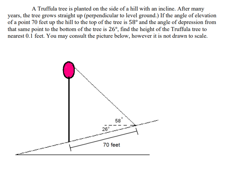 A Truffula tree is planted on the side of a hill with an incline. After many
years, the tree grows straight up (perpendicular to level ground.) If the angle of elevation
of a point 70 feet up the hill to the top of the tree is 58° and the angle of depression from
that same point to the bottom of the tree is 26°, find the height of the Truffula tree to
nearest 0.1 feet. You may consult the picture below, however it is not drawn to scale.
58
26°
70 feet
